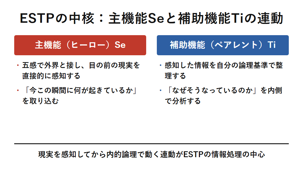 ESTPの中核となる心理機能の連動：主機能（ヒーロー）Seは五感で目の前の現実を直接的に感知し、補助機能（ペアレント）Tiはその情報を自分の論理基準で整理・分析する。現実を感知してから内的論理で動く連動がESTPの情報処理の中心となる図解