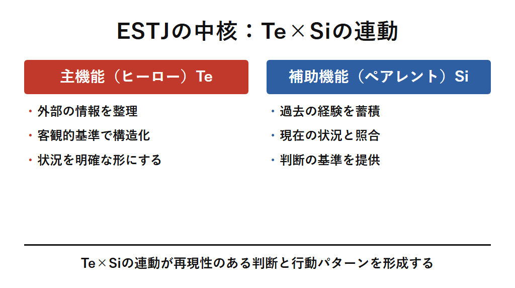 ESTJの主機能Te（外向的思考）と補助機能Si（内向的感覚）の役割を対比し、客観的な情報整理と過去の経験照合が連動する流れを示す図解